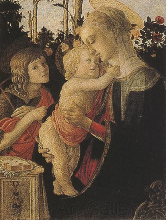 Sandro Botticelli Madonna of the Rose Garden or Madonna and Child with St john the Baptist (mk36) Norge oil painting art